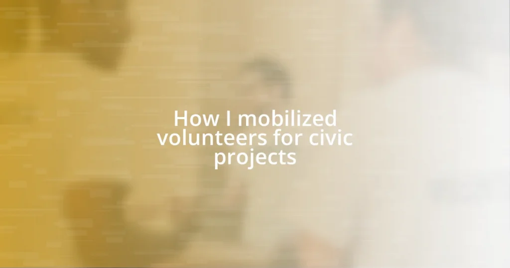 How I mobilized volunteers for civic projects