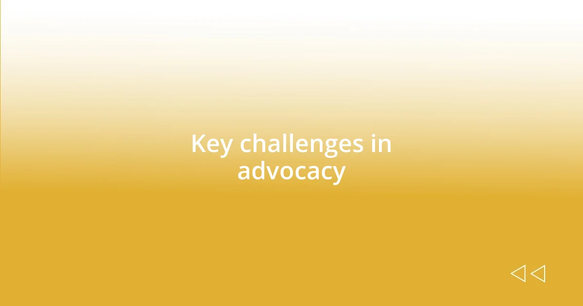 Key challenges in advocacy